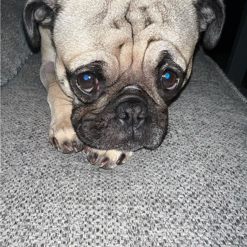 Meet your Posher, Bethany